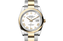 Rolex Watches [18121] Rolex Datejust 36 M126203-0030