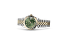 Rolex Watches [18908] Rolex Datejust 31 M278343RBR-0016