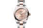 Rolex Watches [19365] Rolex Lady-Datejust M279161-0024