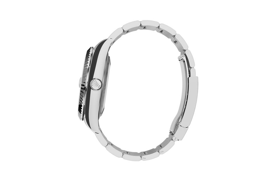 Rolex Watches [38009] Rolex Sky-Dweller M336934-0001