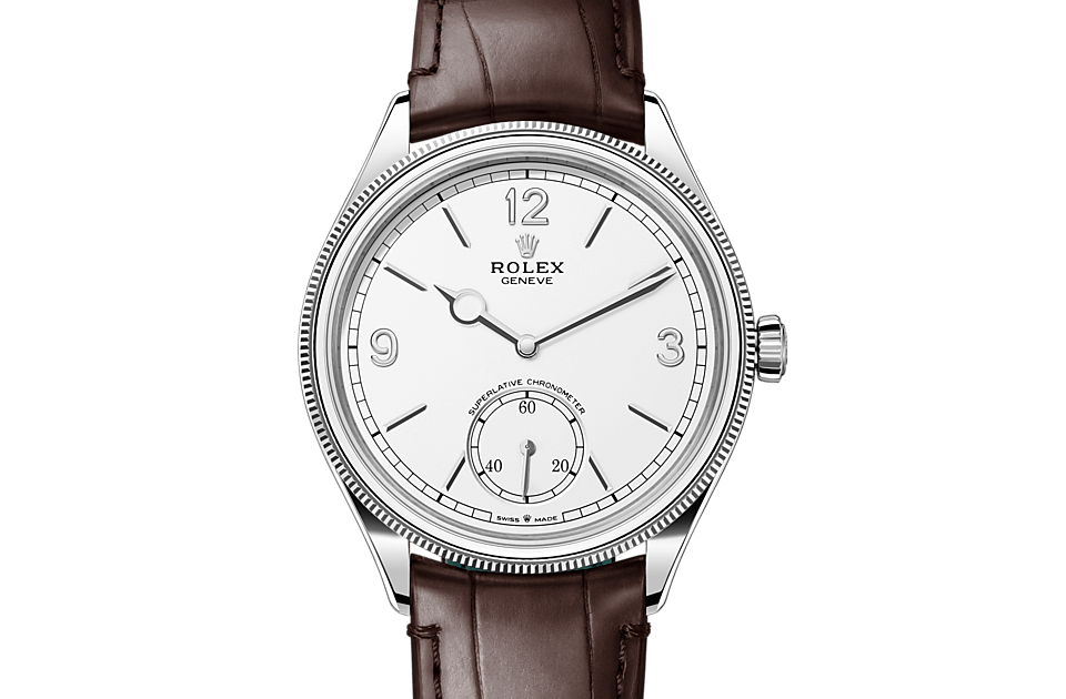 Rolex Watches [38207] Rolex 1908 M52509-0006
