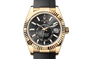 Rolex Watches [38264] Rolex Sky-Dweller M336238-0002