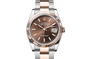 Rolex Watches [38311] Rolex Datejust 36 M126231-0044