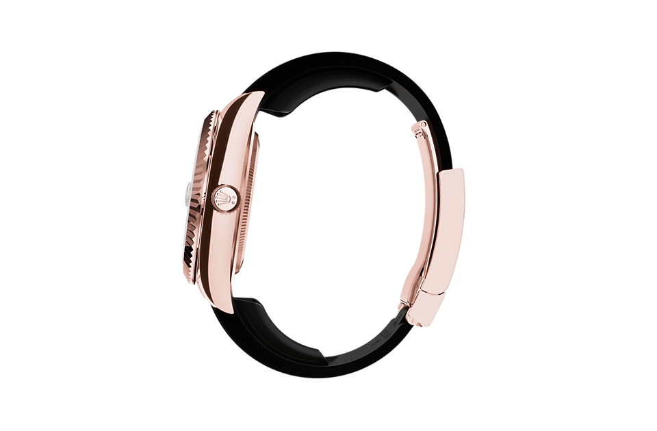 Rolex Watches [38452] Rolex Sky-Dweller M336235-0003