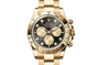 Rolex Watches [38528] Rolex Cosmograph Daytona M126508-0003
