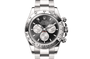 Rolex Watches [38707] Rolex Cosmograph Daytona M126509-0001