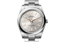 Rolex Watches [39538] Rolex Oyster Perpetual 41 M124300-0001