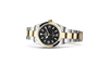 Rolex Watches [39615] Rolex Explorer 36 M124273-0001