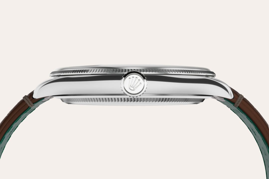 Rolex Watches [38207] Rolex 1908 M52509-0006
