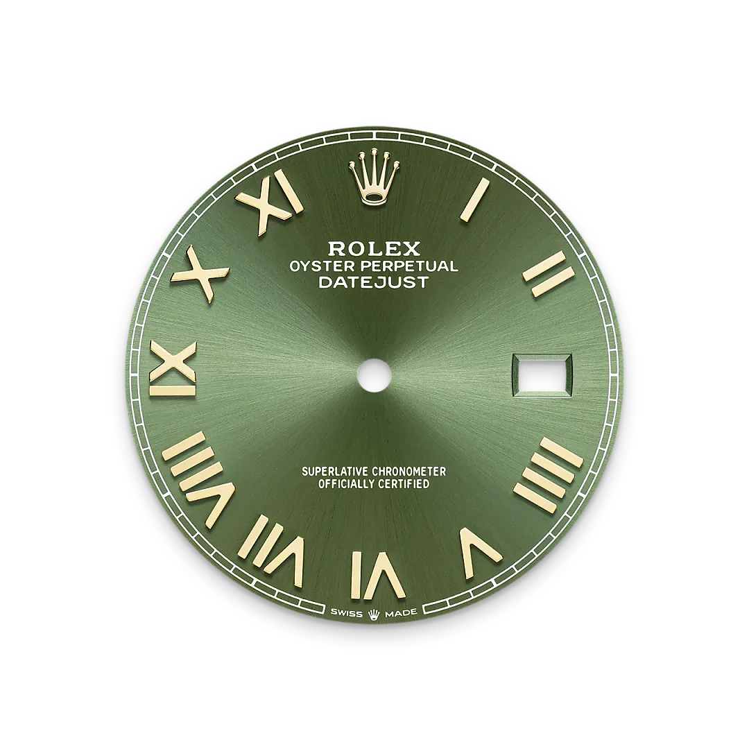 Rolex Watches Rolex Datejust 41 M126303-0024