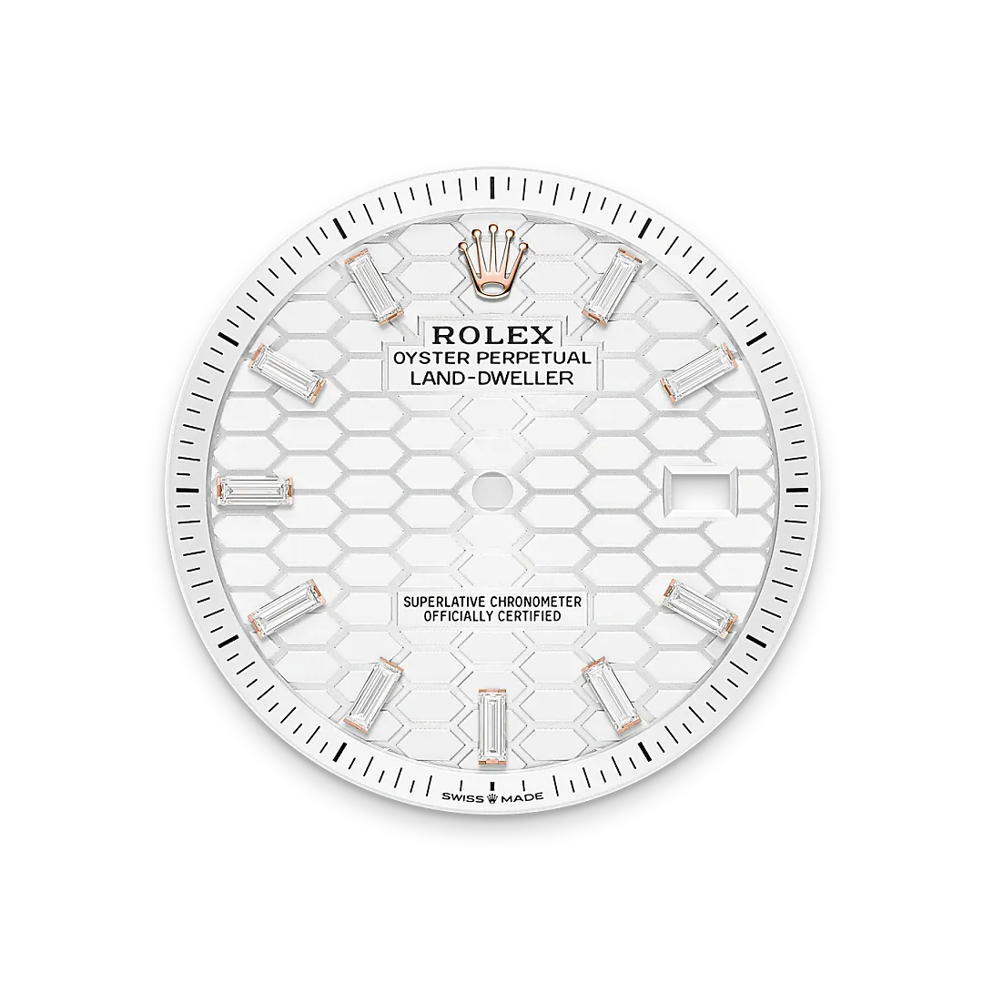Rolex Watches Rolex Land-Dweller 40 M127385TBR-0003