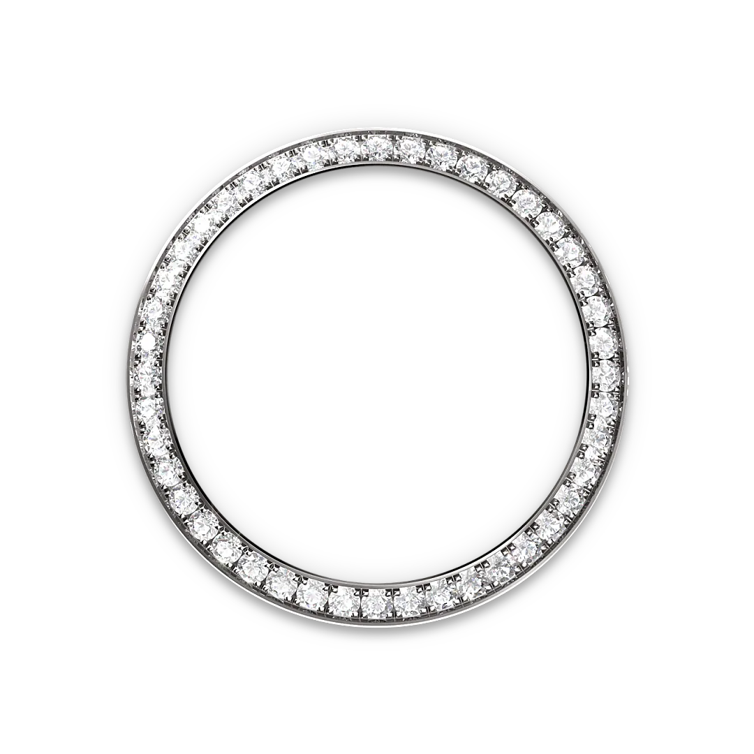 Rolex Watches Rolex Lady-Datejust M279139RBR-0008