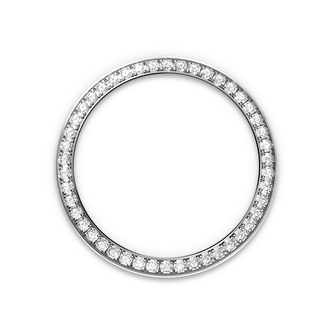 Rolex Watches Rolex Lady-Datejust M279384RBR-0003