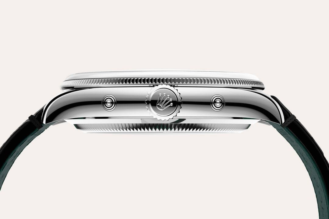 Rolex Watches Rolex Perpetual Padellone M53506-0002
