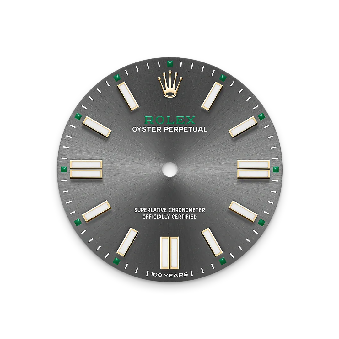 Rolex Watches Rolex Oyster Perpetual 41 M134303-0001
