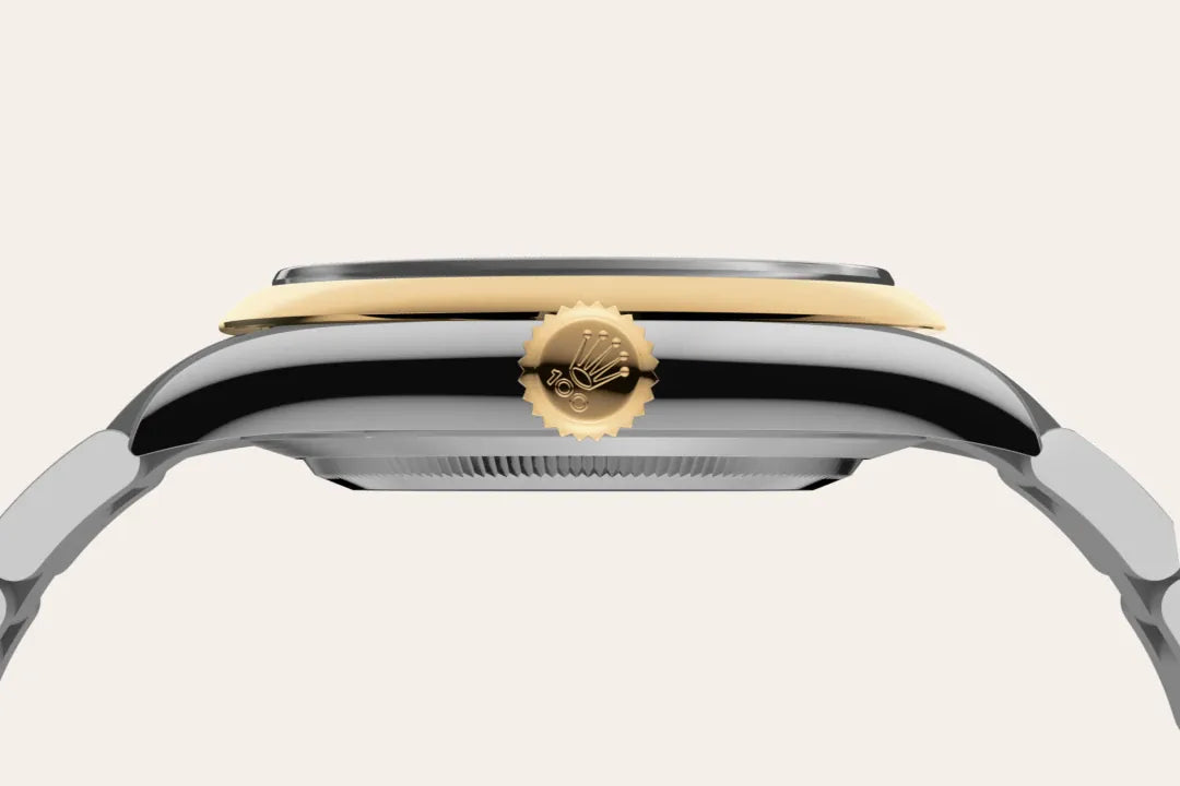 Rolex Watches Rolex Oyster Perpetual 41 M134303-0001
