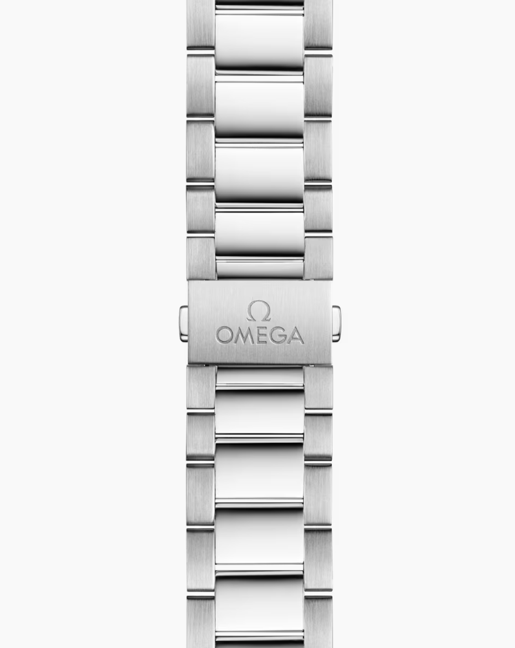 Omega Watch OMEGA Seamaster Aqua Terra 150M 41mm