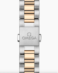 Omega Watch OMEGA Seamaster Aqua Terra Shades 34 mm