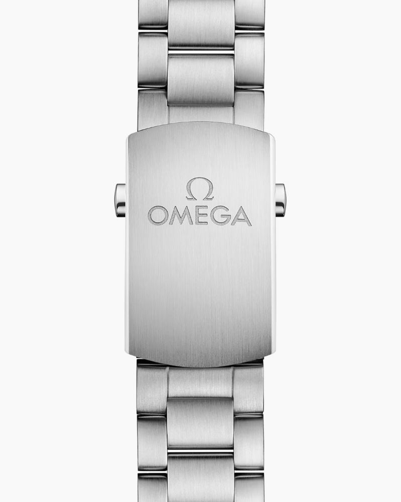 Omega Planet Ocean 600m Co Axial Master Chronometer