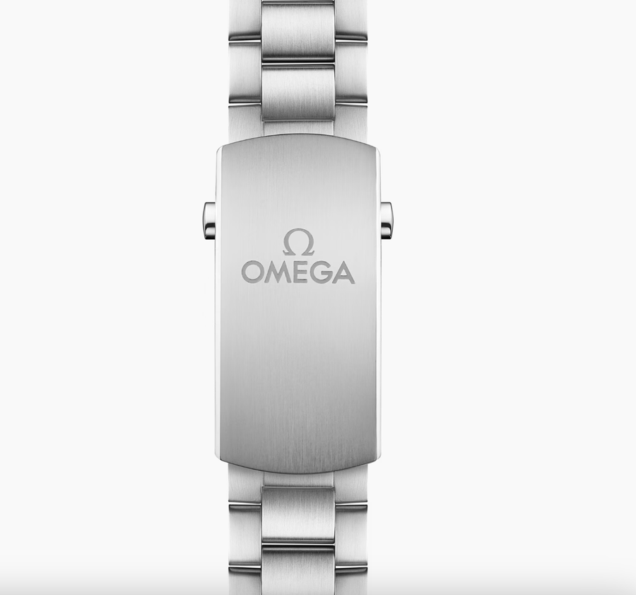 Omega Watch OMEGA Seamaster Planet Ocean 600M 43.5mm
