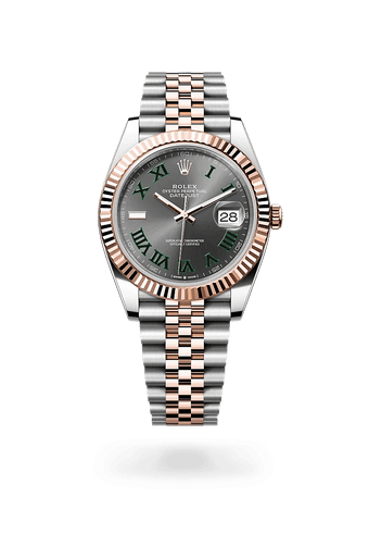 Rolex Watches Rolex Datejust 41 M126331-0016