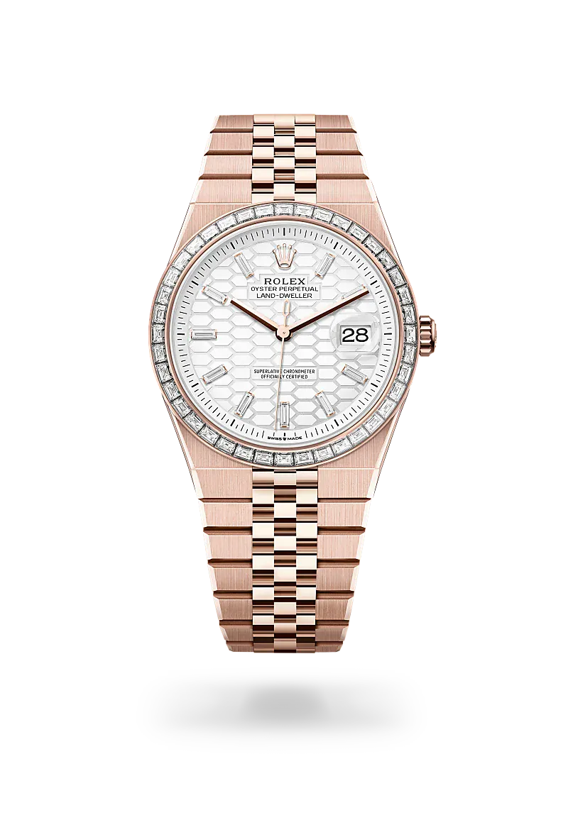 Rolex Watches Rolex Land-Dweller 40 M127385TBR-0003
