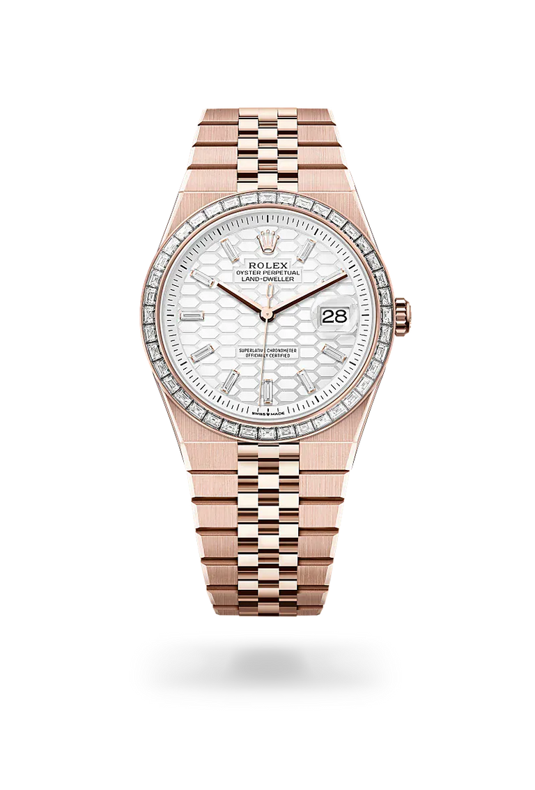 Rolex Watches Rolex Land-Dweller 40 M127385TBR-0003
