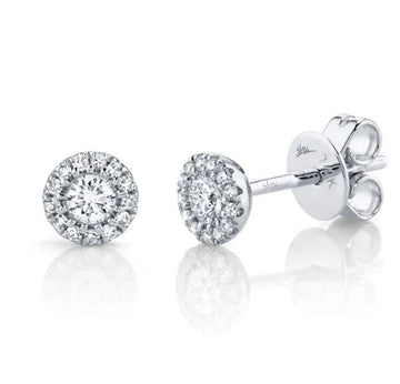 Shy Creation Jewellery - Earrings - Stud Shy Creation 14K White Gold Round Diamond Halo Studs