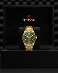 TUDOR Watches TUDOR Black Bay 58 18K