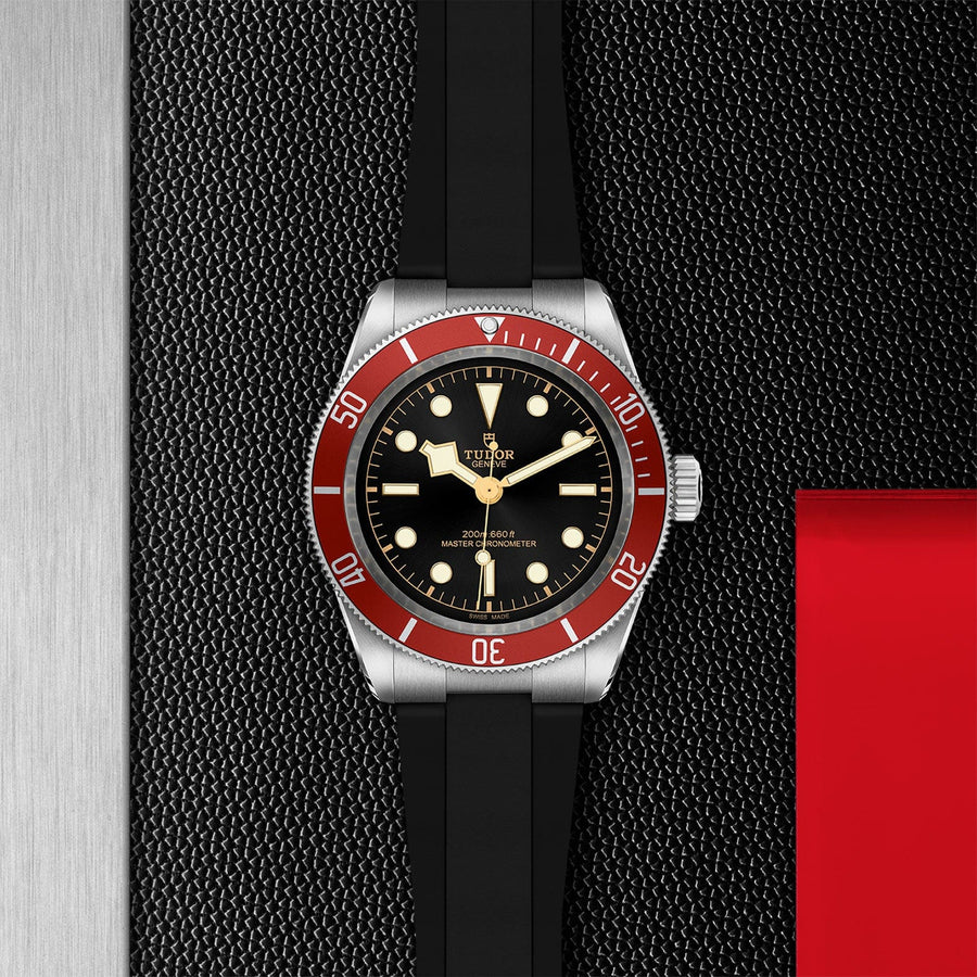 TUDOR Watch TUDOR Black Bay