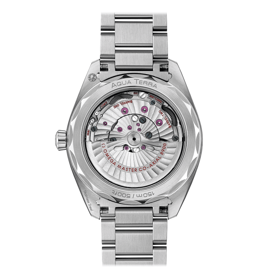 Omega Seamaster Aqua Terra Master Chronometer 220.10.41.21.03.004