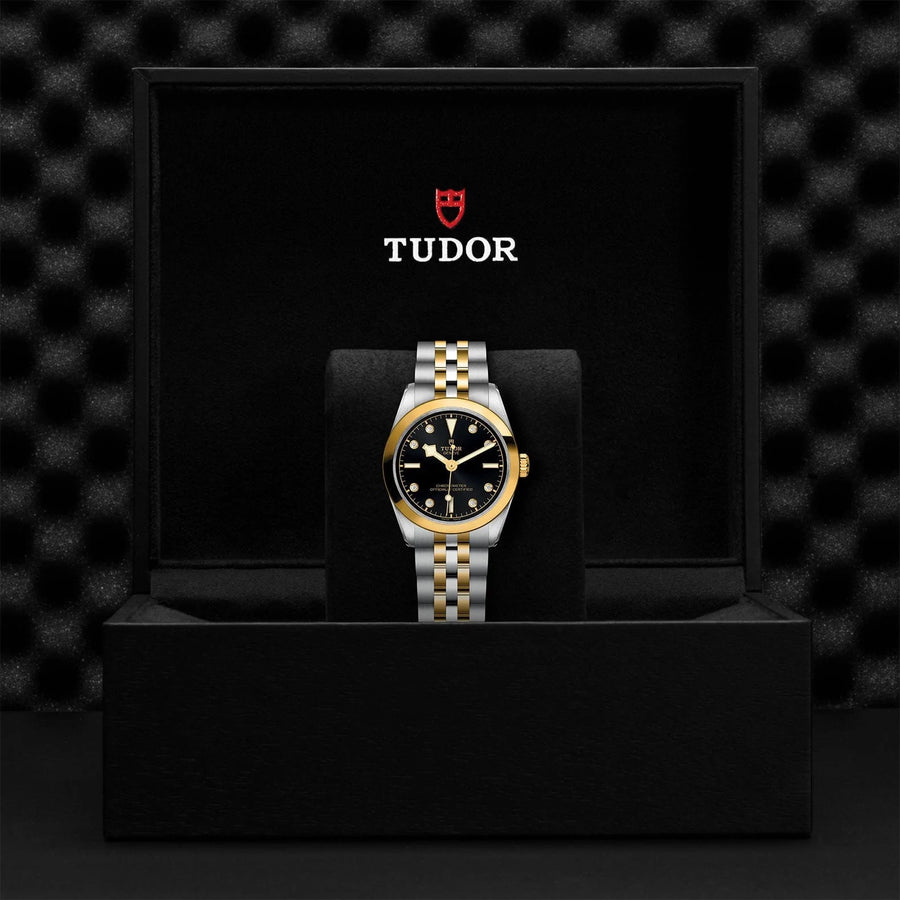 TUDOR TUDOR Black Bay 31 S&G