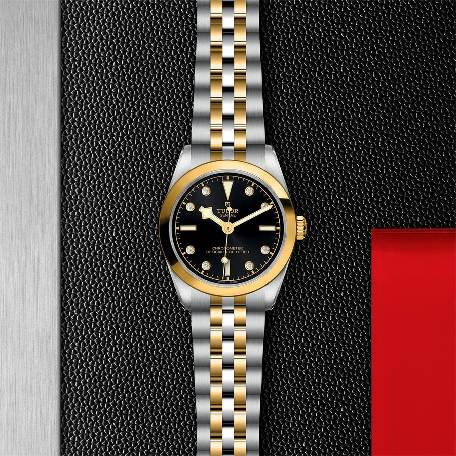 TUDOR TUDOR Black Bay 31 S&G