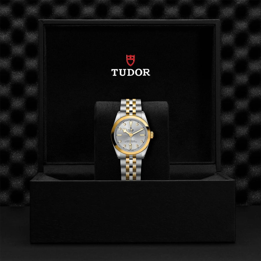 TUDOR TUDOR Black Bay 31 S&G