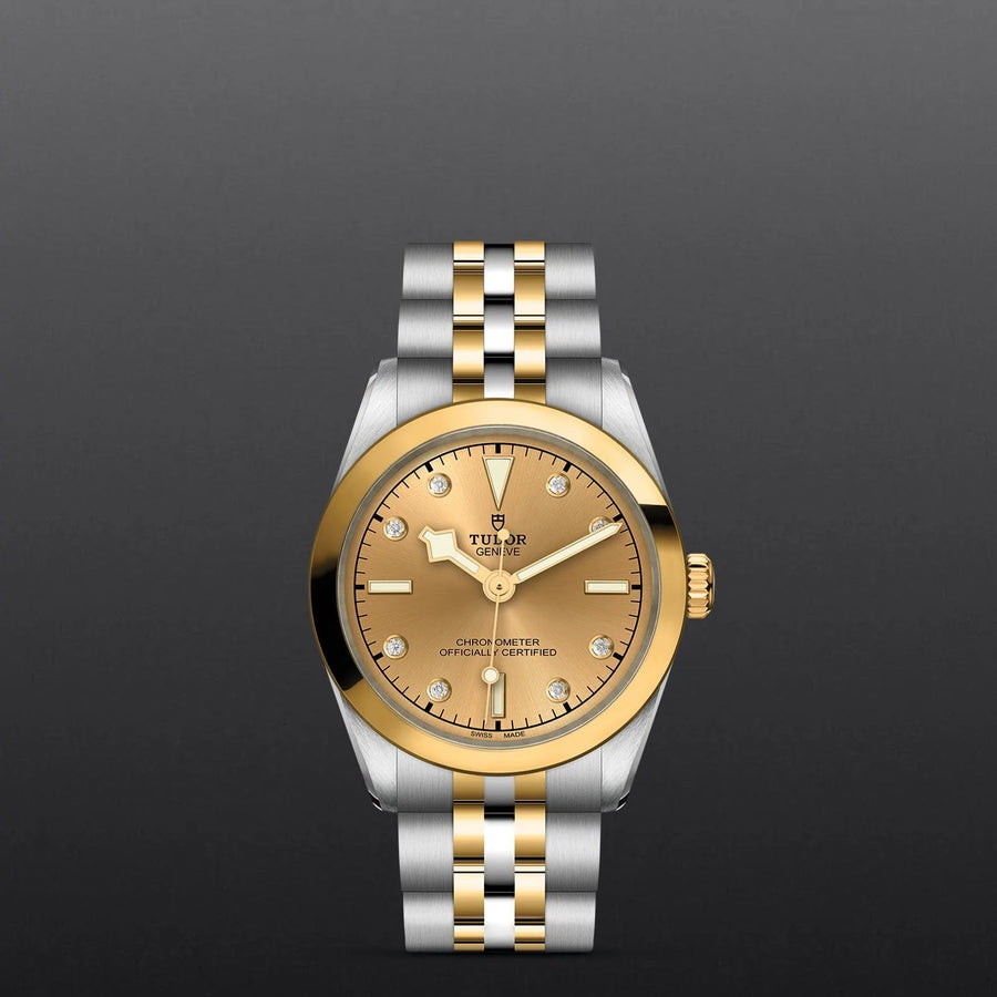 TUDOR Black Bay 31 S G