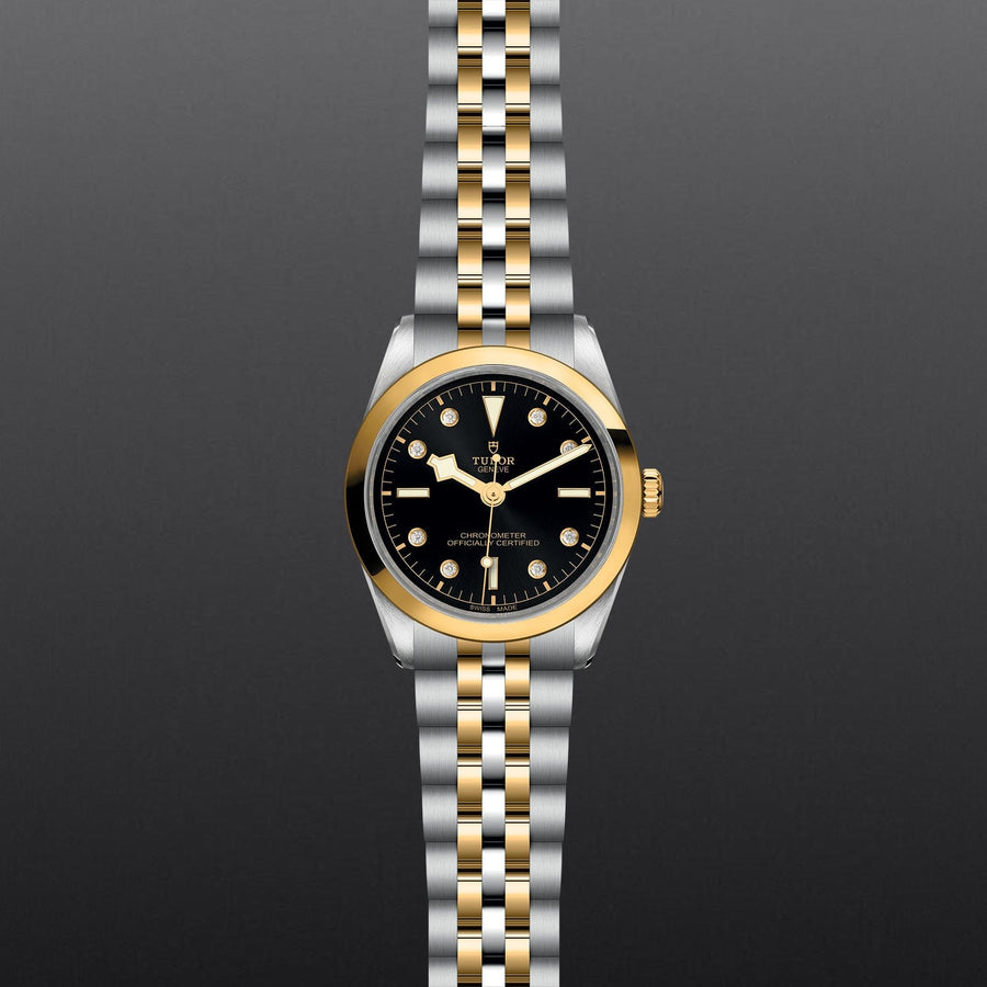 TUDOR TUDOR Black Bay 36 S&G