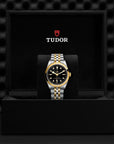 TUDOR TUDOR Black Bay 36 S&G