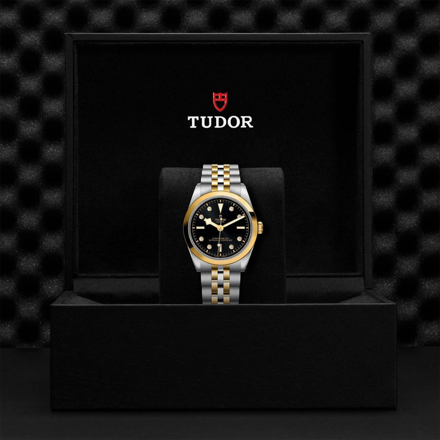 TUDOR TUDOR Black Bay 36 S&G