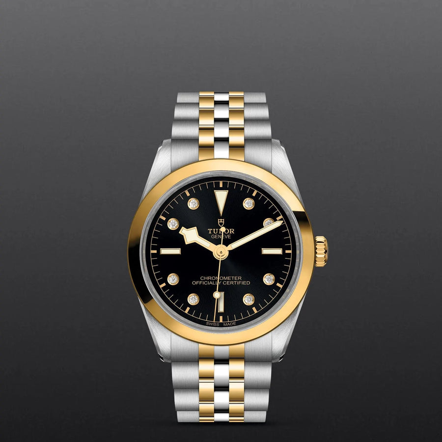 TUDOR TUDOR Black Bay 36 S&G