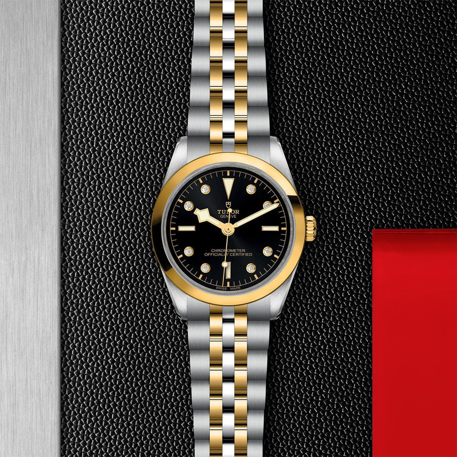 TUDOR TUDOR Black Bay 36 S&G