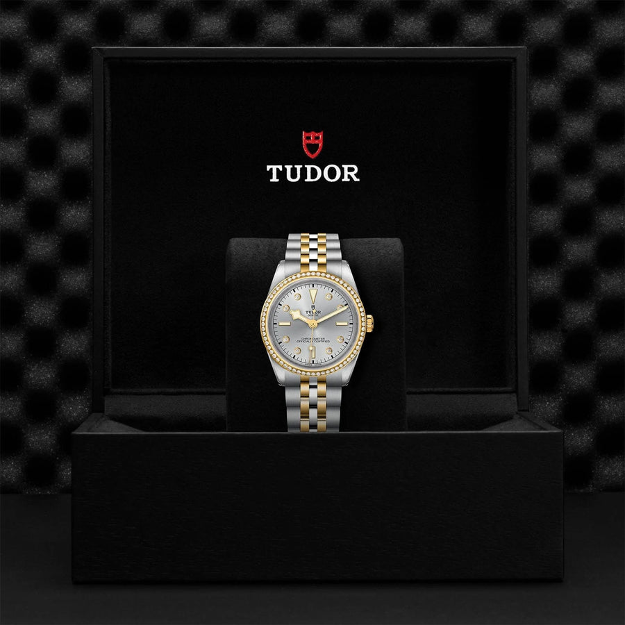 TUDOR TUDOR Black Bay 36 S&G