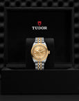 TUDOR Watches TUDOR Black Bay 36 S&G