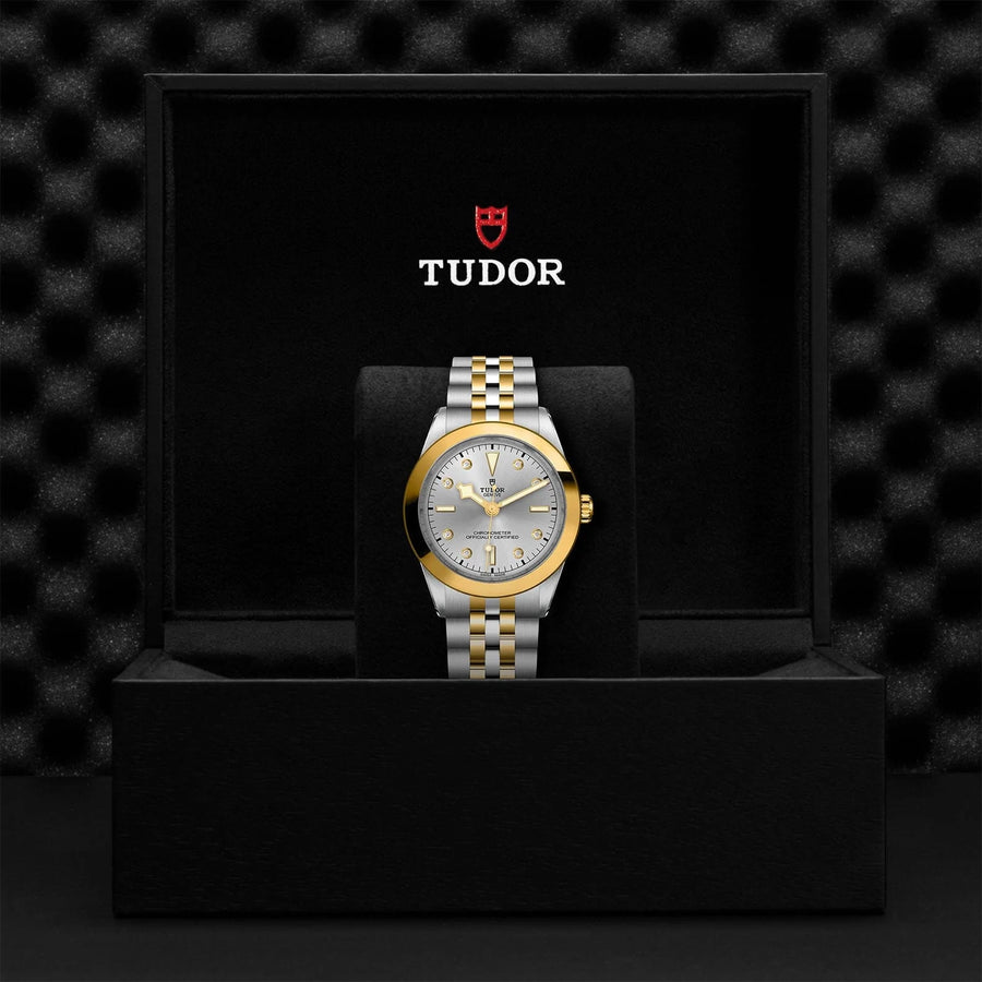 TUDOR TUDOR Black Bay 39 S&G