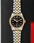 TUDOR TUDOR Black Bay 39 S&G