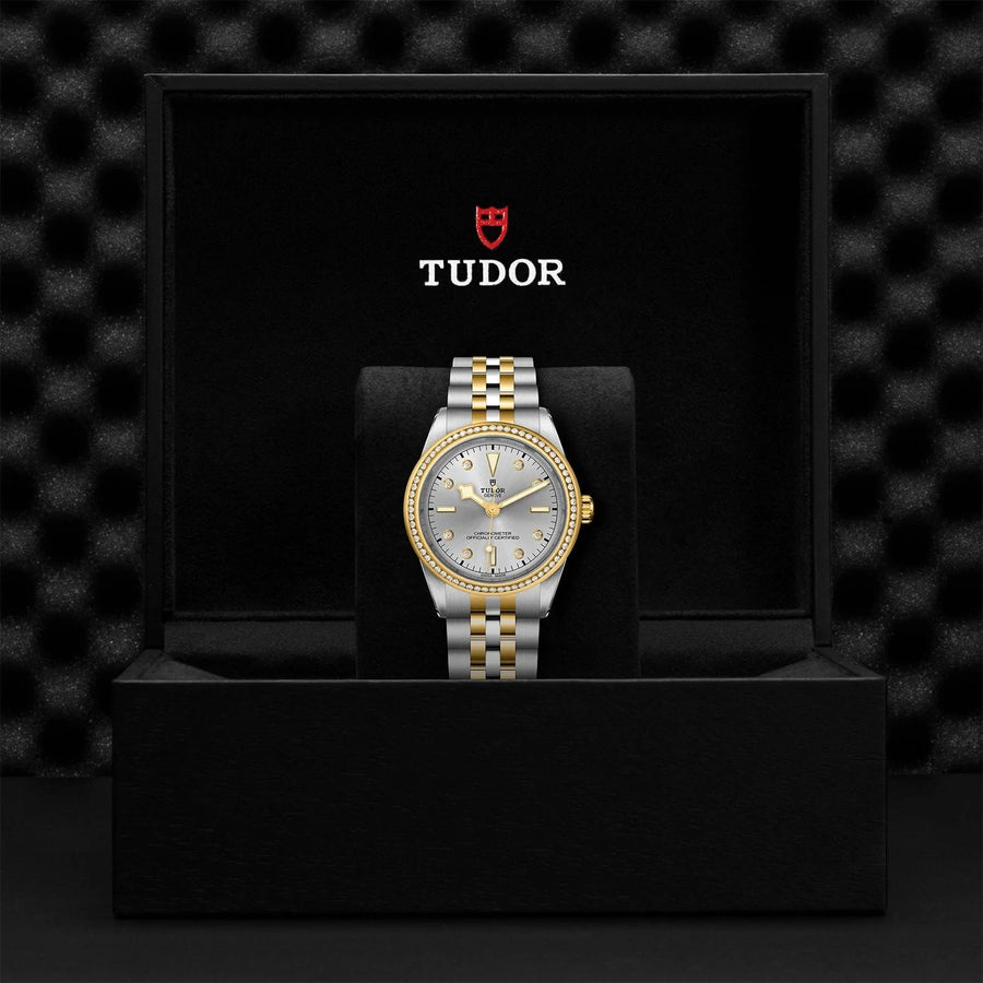 TUDOR TUDOR Black Bay 39 S&G