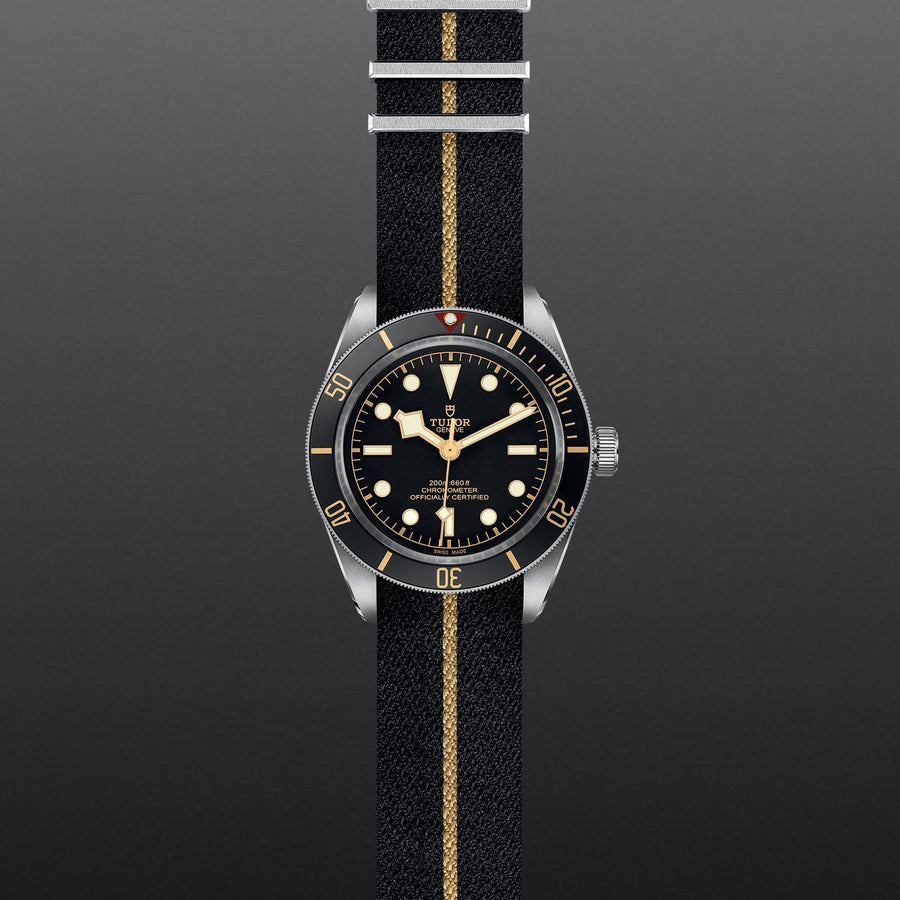 TUDOR Black Bay 58 Watch Touch of Gold