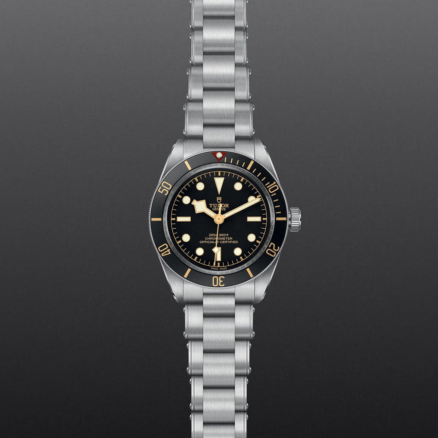 TUDOR Black Bay 58 Watch Touch of Gold - Main Image