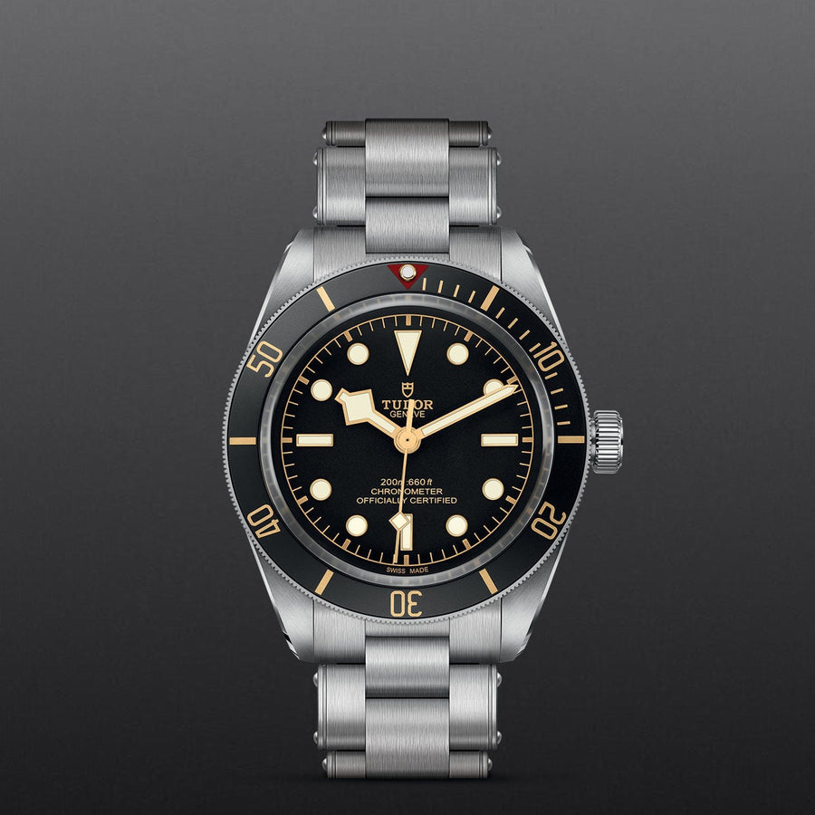 TUDOR Black Bay 58 Watch Touch of Gold - Main Image